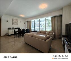 The Light @ Cairnhill (D9), Condominium #455278751